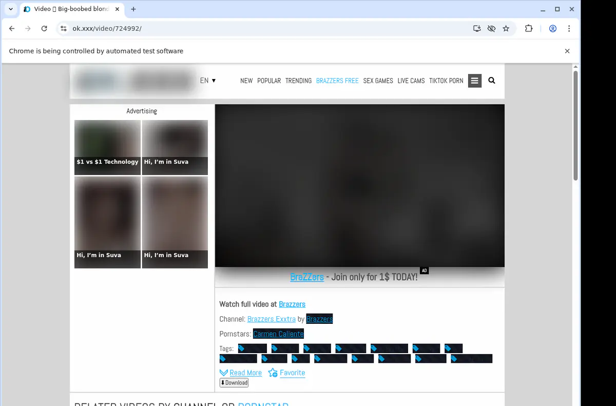Okxxx Video Downloader browser extension screenshot 2