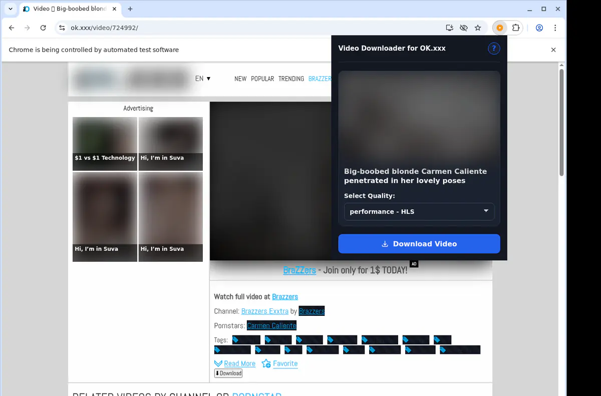 Okxxx Video Downloader browser extension screenshot 3